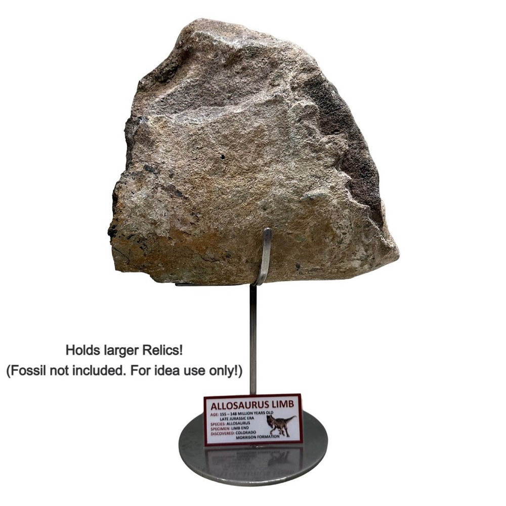 6" Round Base Stand