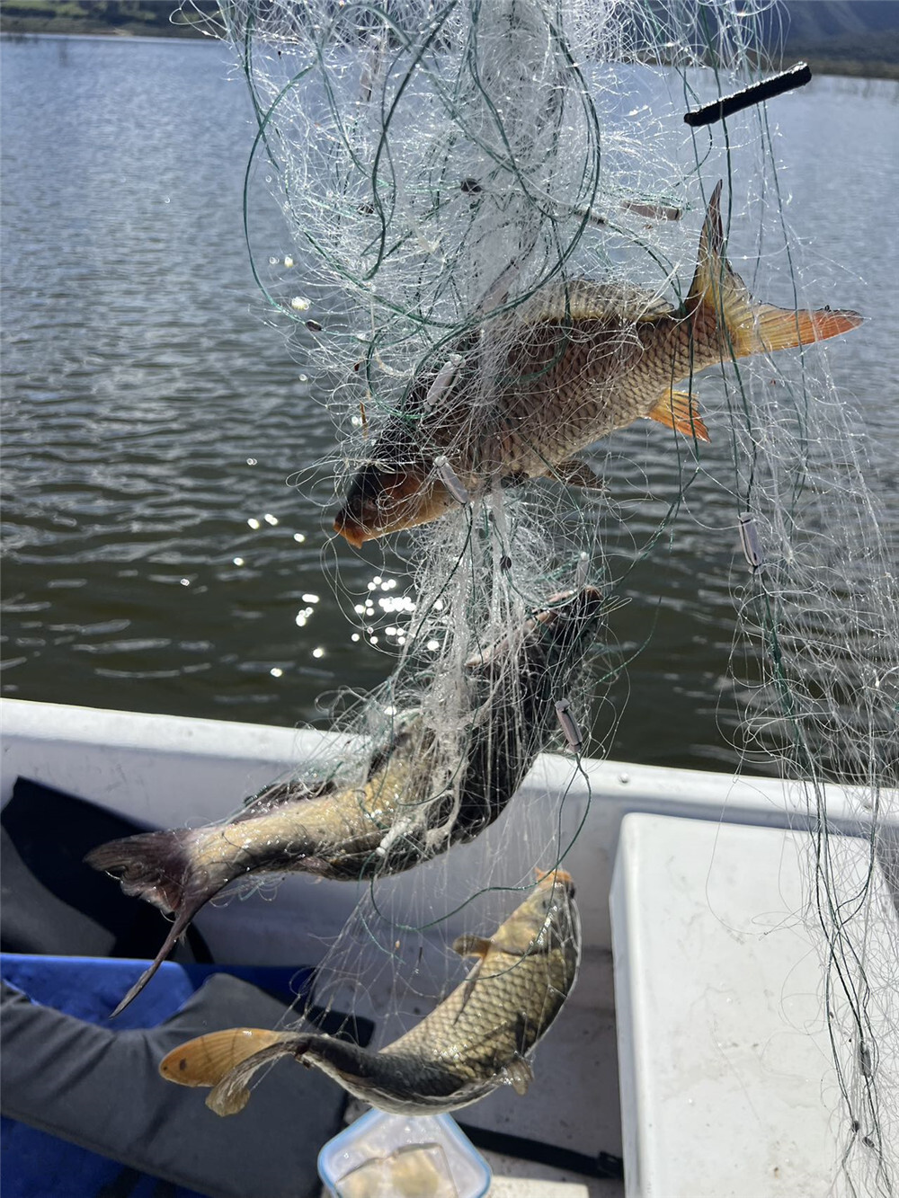 5‘X164' Finished Trammel Fishing Net, 3 Layers Gill Net, Seine Net for 30LB Fish