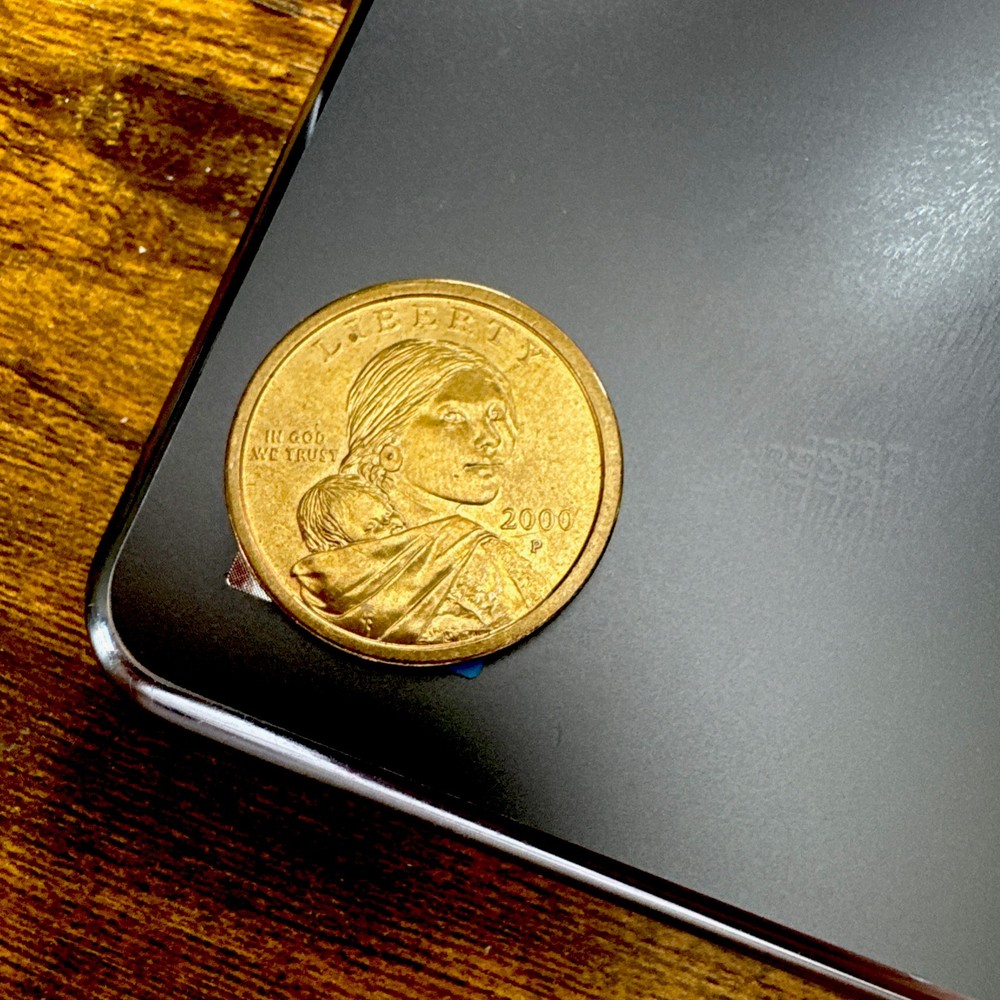 2000 sacagawea dollar (rare)