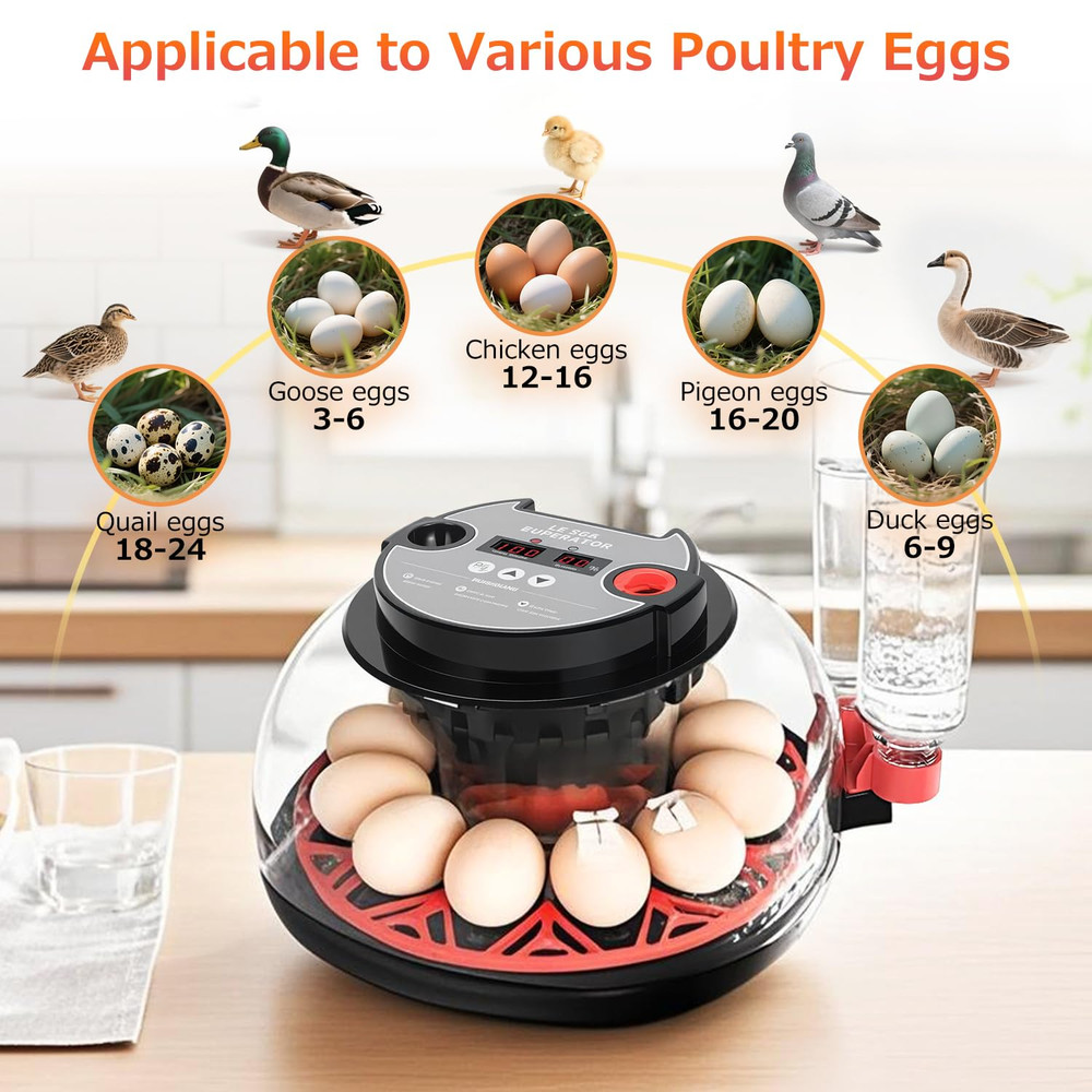 12 Egg Incubators for Hatching Eggs Automatic Egg Incubator with Temperature Con