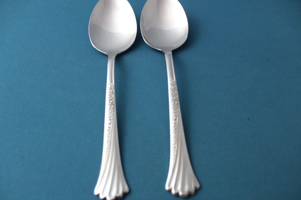 Oneida SPRING GLEN Serving Tablespoon (2pc Set) Stainless Canada 8"