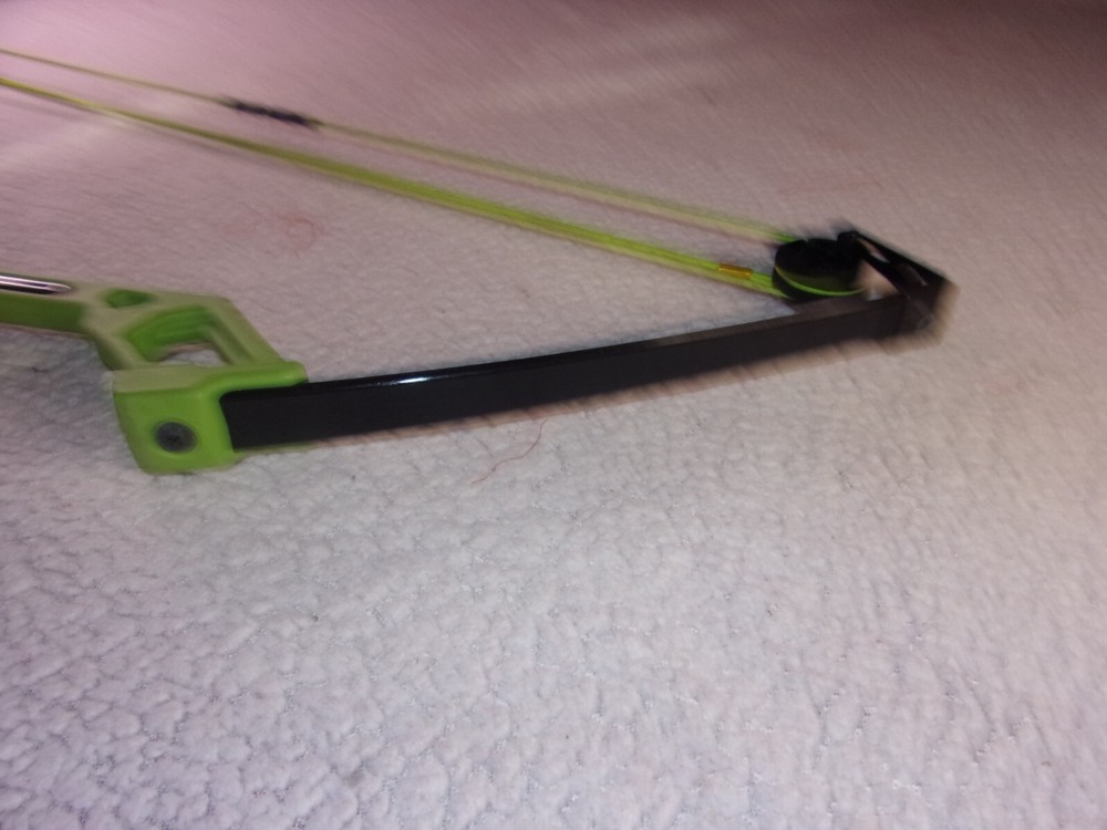 Bear Apprentice Youth Compound Bow