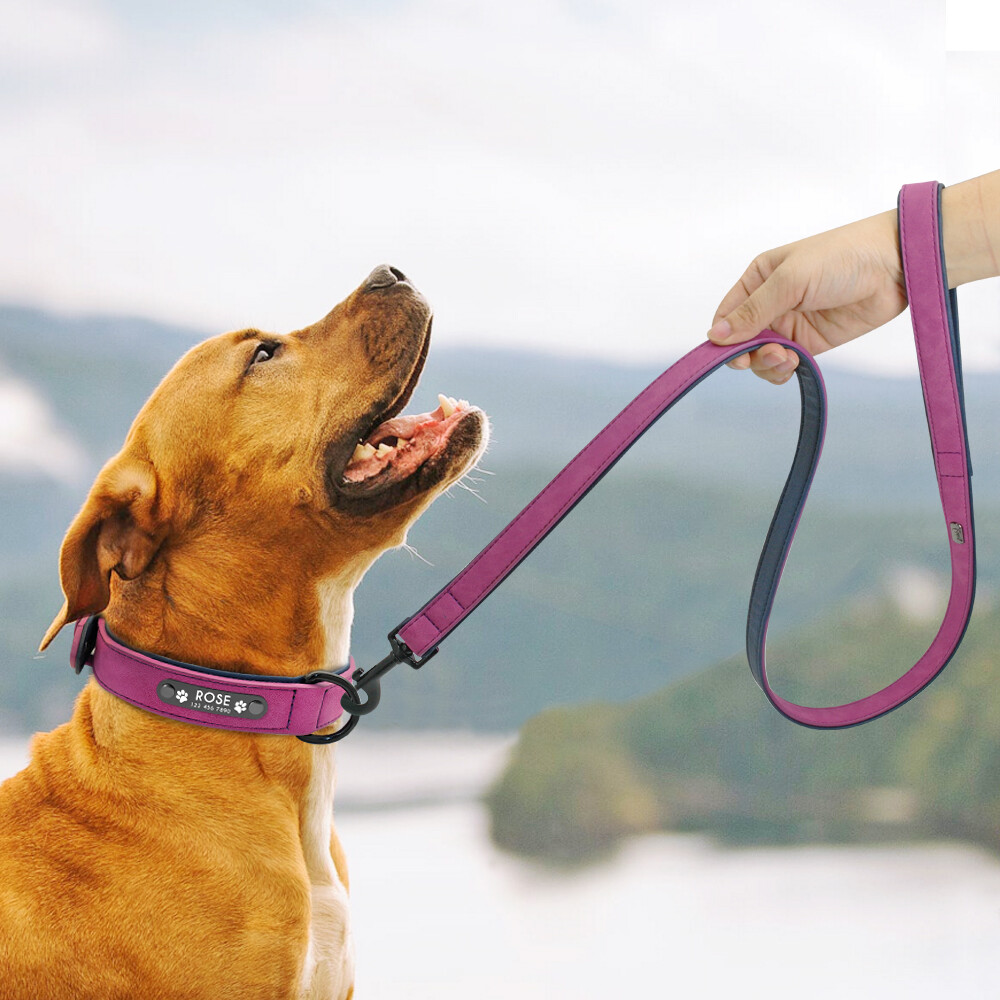 Custom Personalized Leather Dog Collar Leash Optional Padded ID Name Engraved