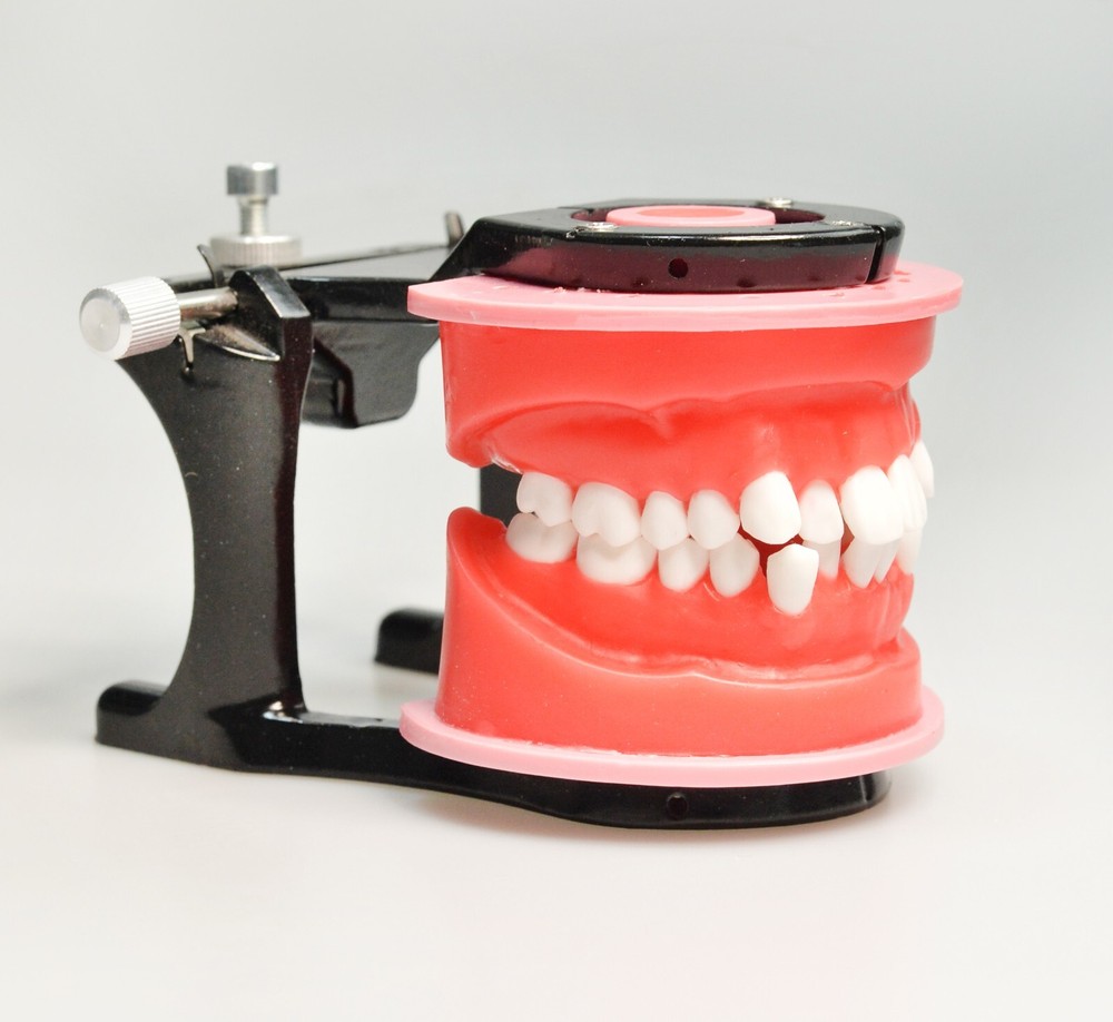 Reusable Dental Typodont Orthodontics Model Wax Teeth Training Practice