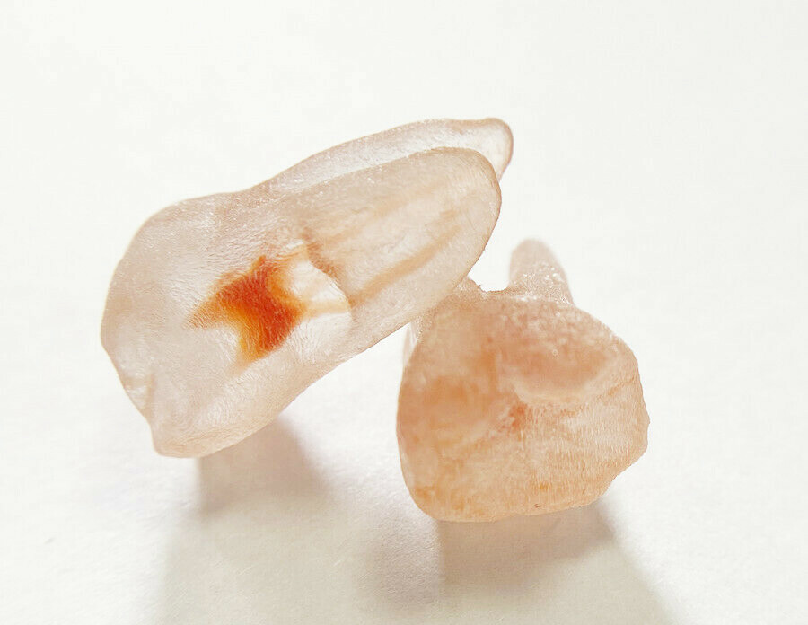 1Pcs Dental Dentist School Study Model Endodontic Practise 3D Teeth Replicas