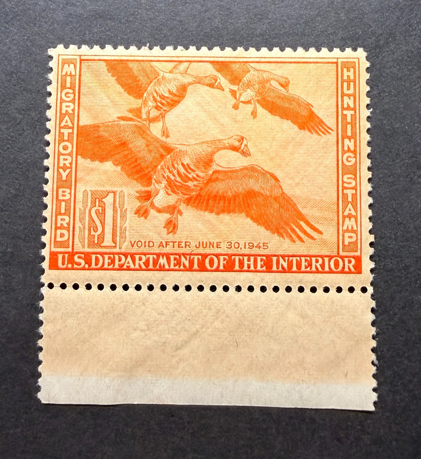 WTDstamps - #RW11 1944 - US Federal Duck Stamp - Mint OG NH