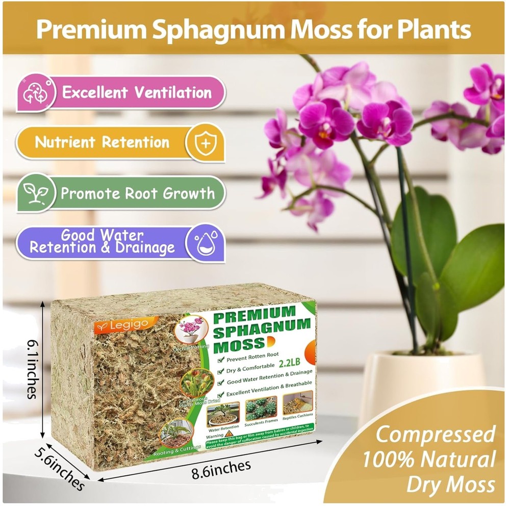 Natural Succulent Carnivorous Moss - 2.2lbs