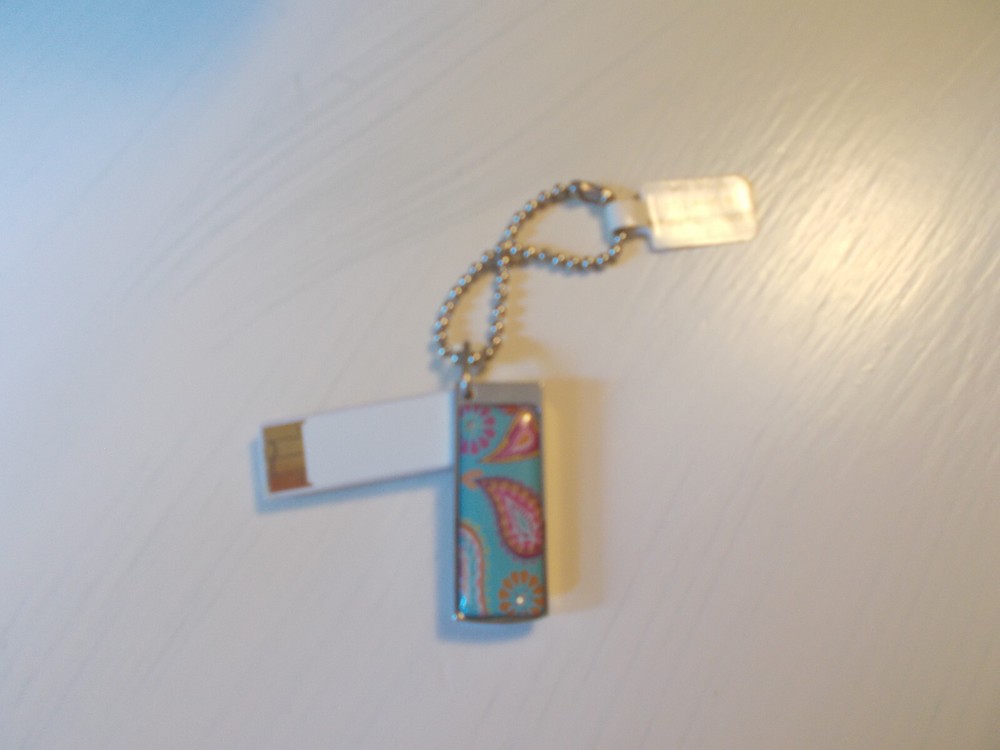 Pretty Keychain 2GB USB Flash Drive