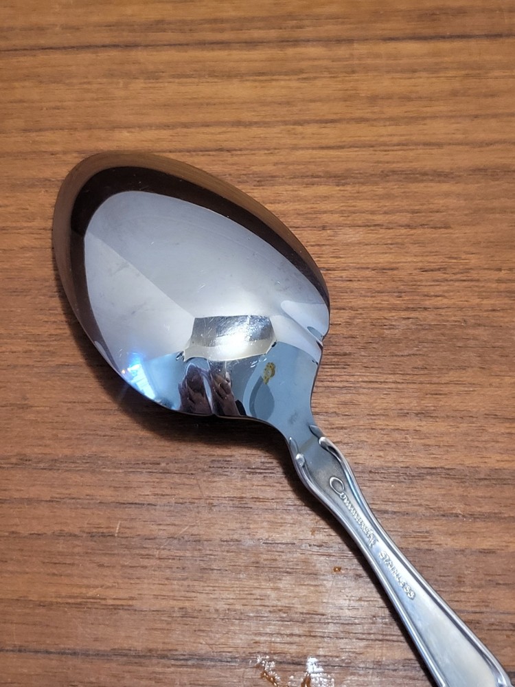 Single Oneida Community Cantata 8 3/8" Stainless Solid Serving Spoon