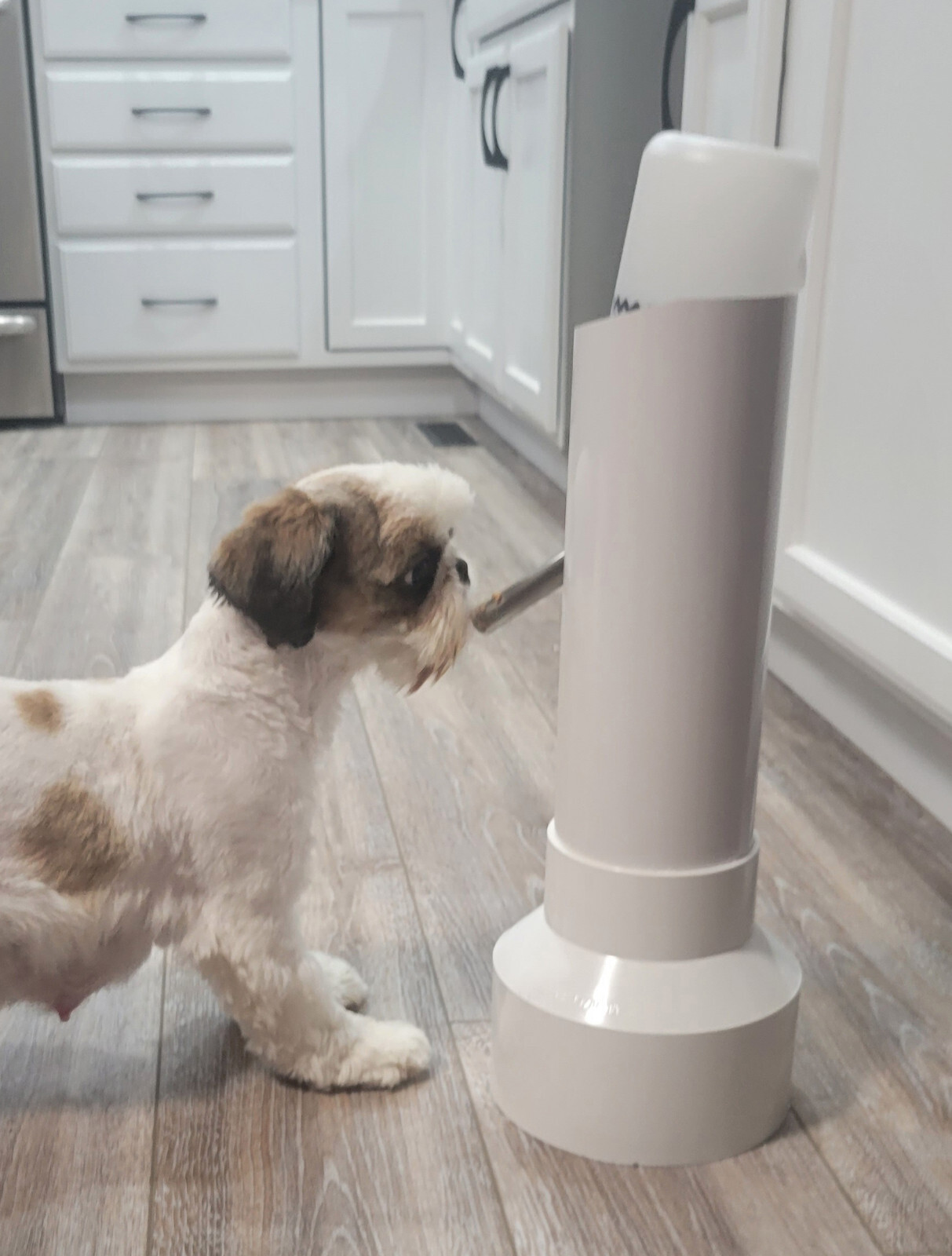 Free Standing Portable Pet Water Bottle Stand Dispenser for Dog, Cat & Animals