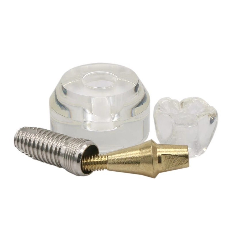 Dental Typodont Implant Teeth Model Demonstration Teeth Study Teach Model M2020