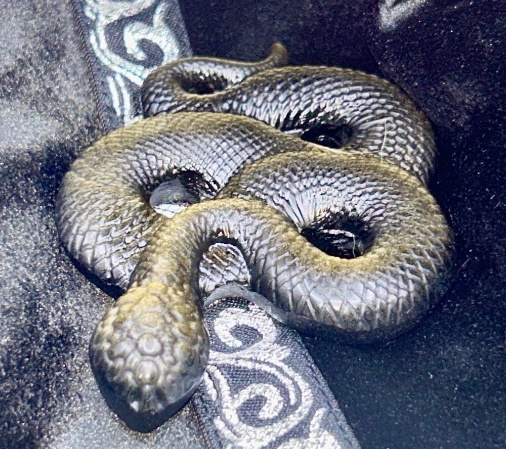 Golden Sheen Obsidian Snake