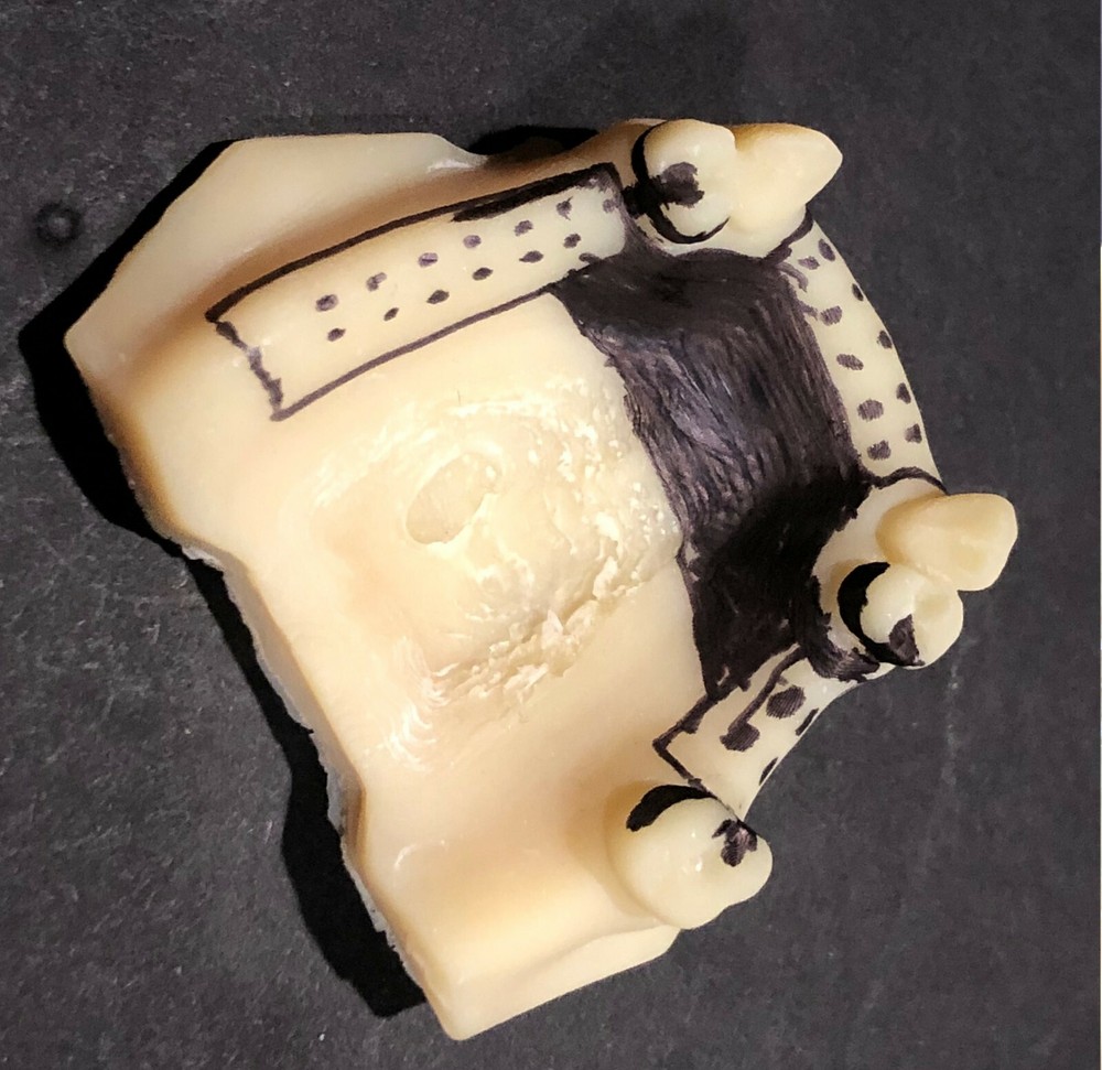 ALPHASENSE 3D DENTAL MODEL RESIN (500 ML)