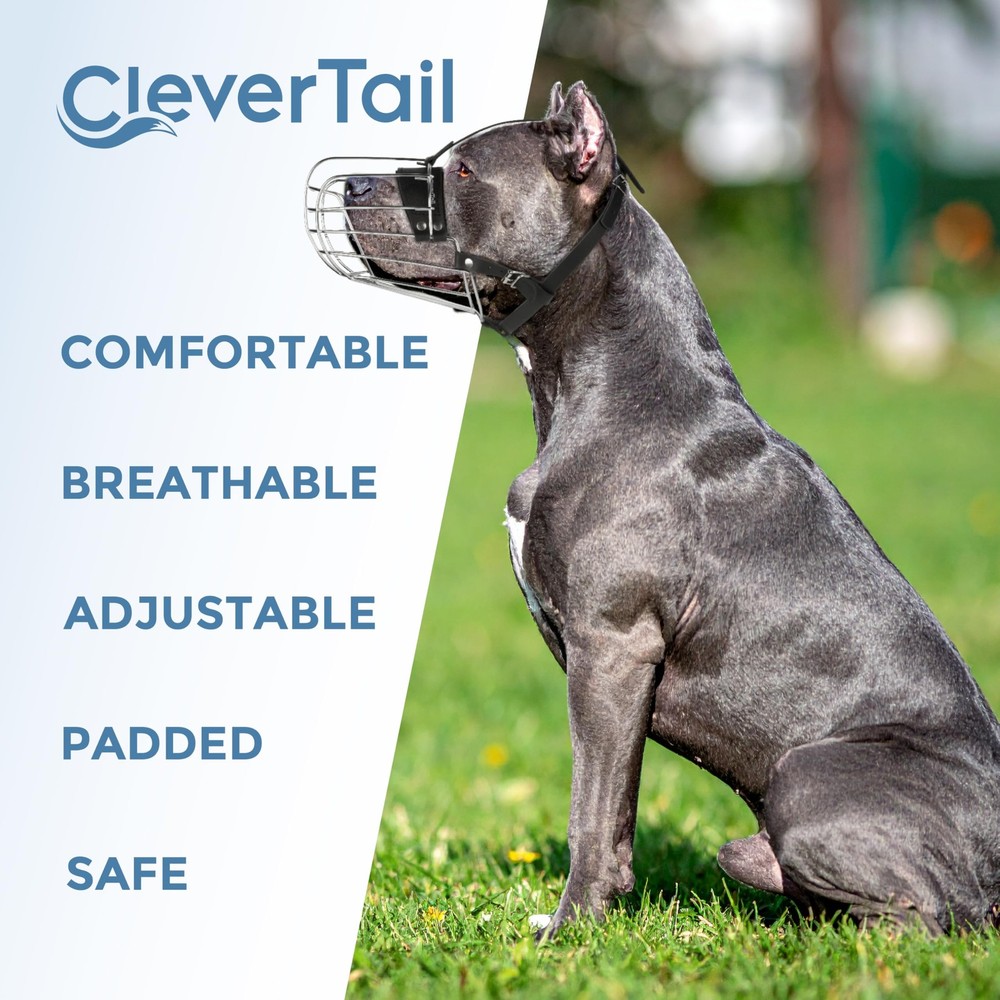 CleverTail Metal Pitbull Muzzle for Large Large, Silver Wire & Black Straps