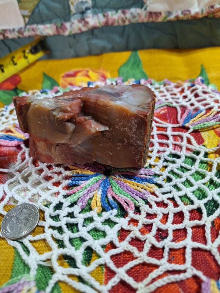 Petrified Wood