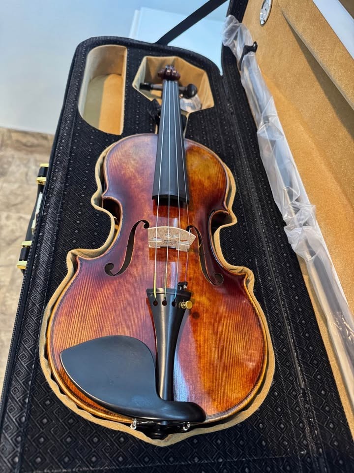 Violin 4/4 professional WoodNote with delux case and bow