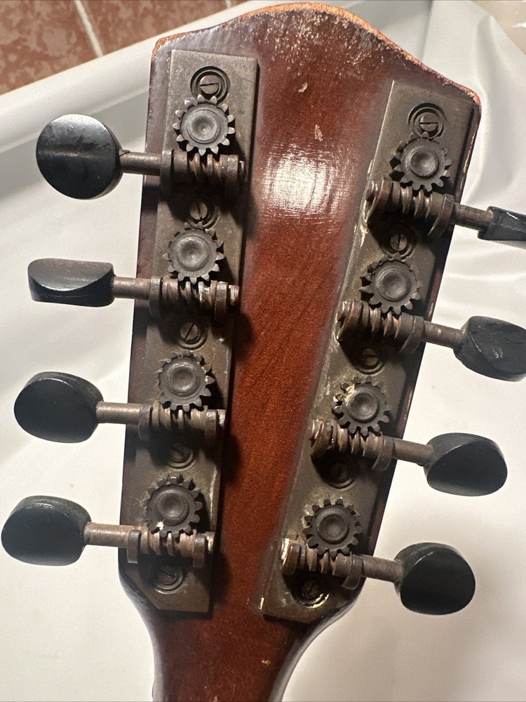 VINTAGE Old MANDOLIN Strings Antique