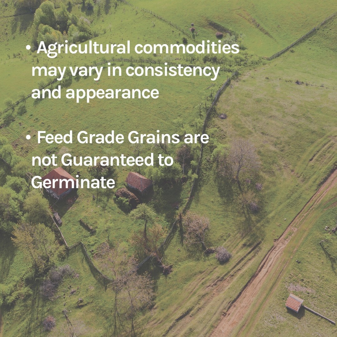 New Country Organics | Organic Oats 40lb | Feed Grade