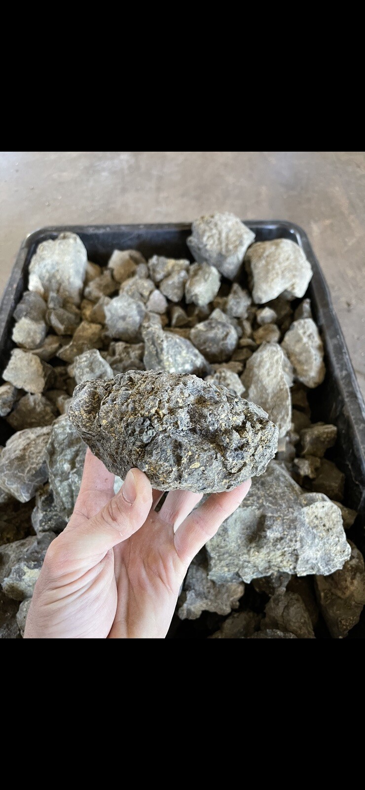 3 lbs Lamproite Diamond Ore Arkansas Diamonds Crater of Diamonds.
