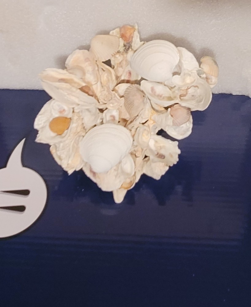 Oyster Shell Sculpture