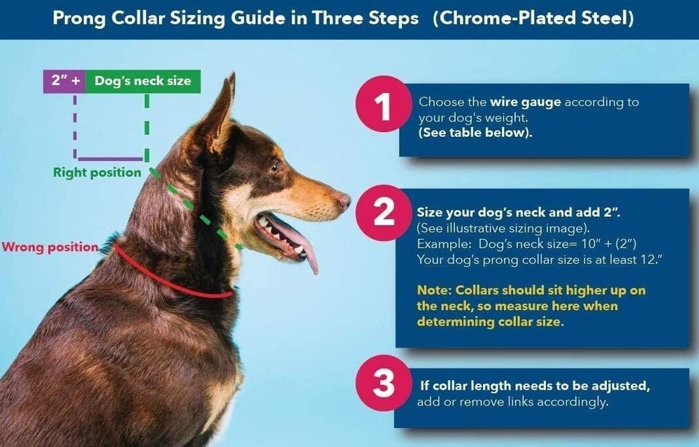 Lightweight German Prong Collar - 14-19" Adjustable Size for Effective Training