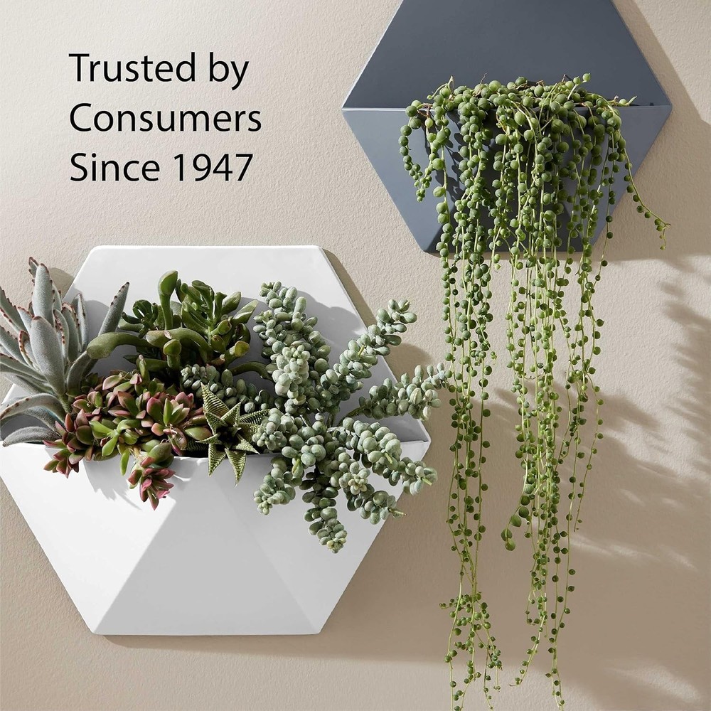 Versatile 12oz Gloss Red Spray Paint & Primer - Rust Protection for All Surfaces