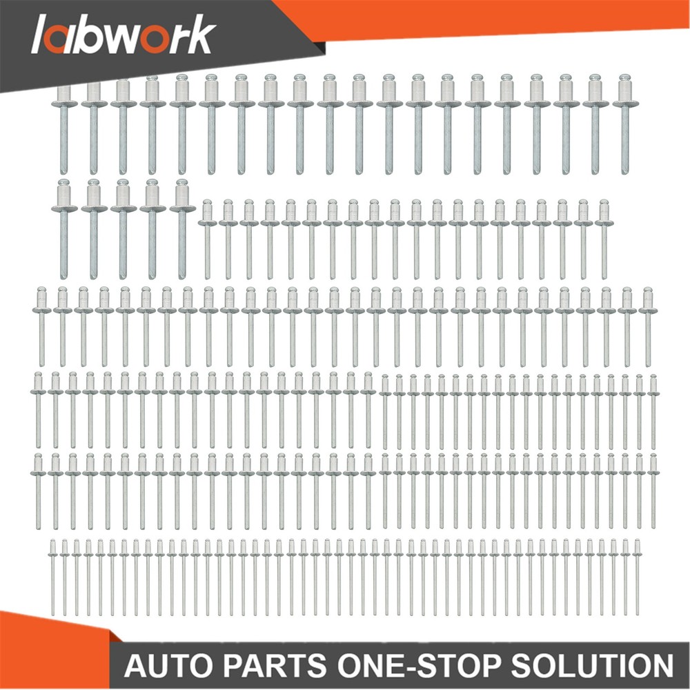 Labwork 1/4 Pop Rivet Gun Kit with 200 Blind Rivet 5 Interchangeable Rivet Head