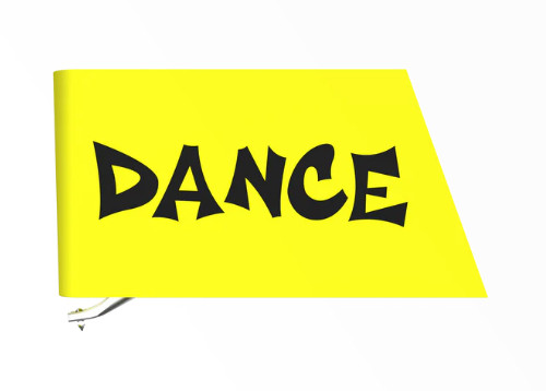 Ortofon VNL Dance Elliptical replacement stylus