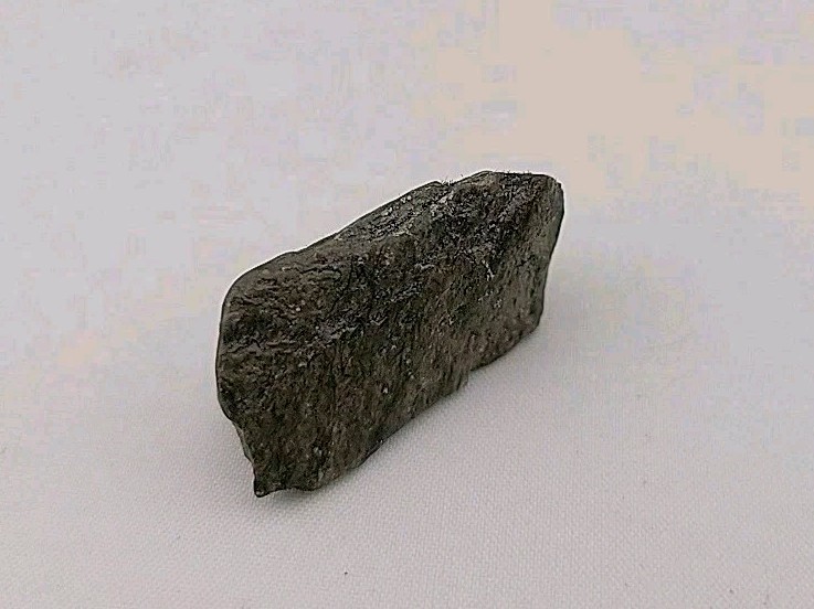 Fossil Dinosaur Permineralized Tooth T-rex 🦖