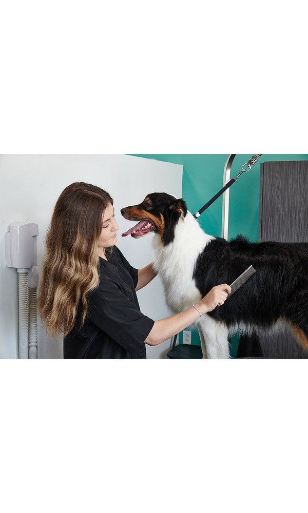 Groomer Essentials 7.5" Medium Comb