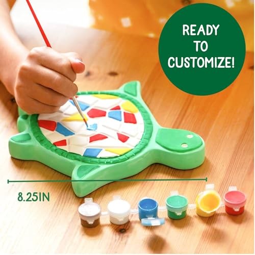 Mosaic Turtle DIY Stepping Stone Kit, Includes Ceramic Stone & 6 Vibrant