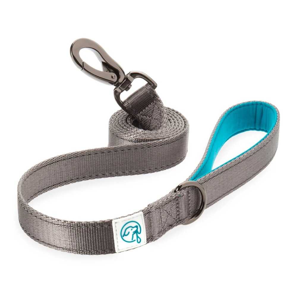 Neoprene Dog Leash - Explorer
