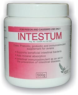 Intestum by Medpet