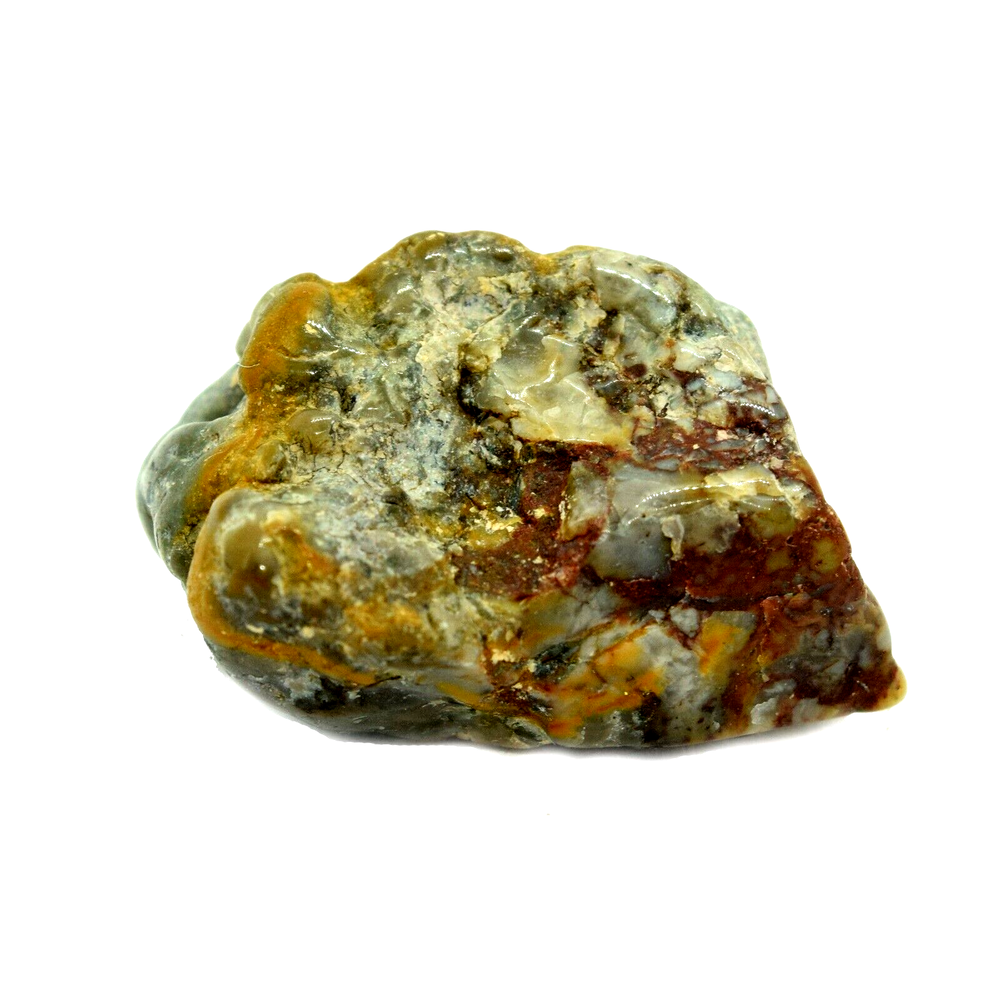 Fossilized Tumbled Dinosaur Coprolite - Dinosaur Poo