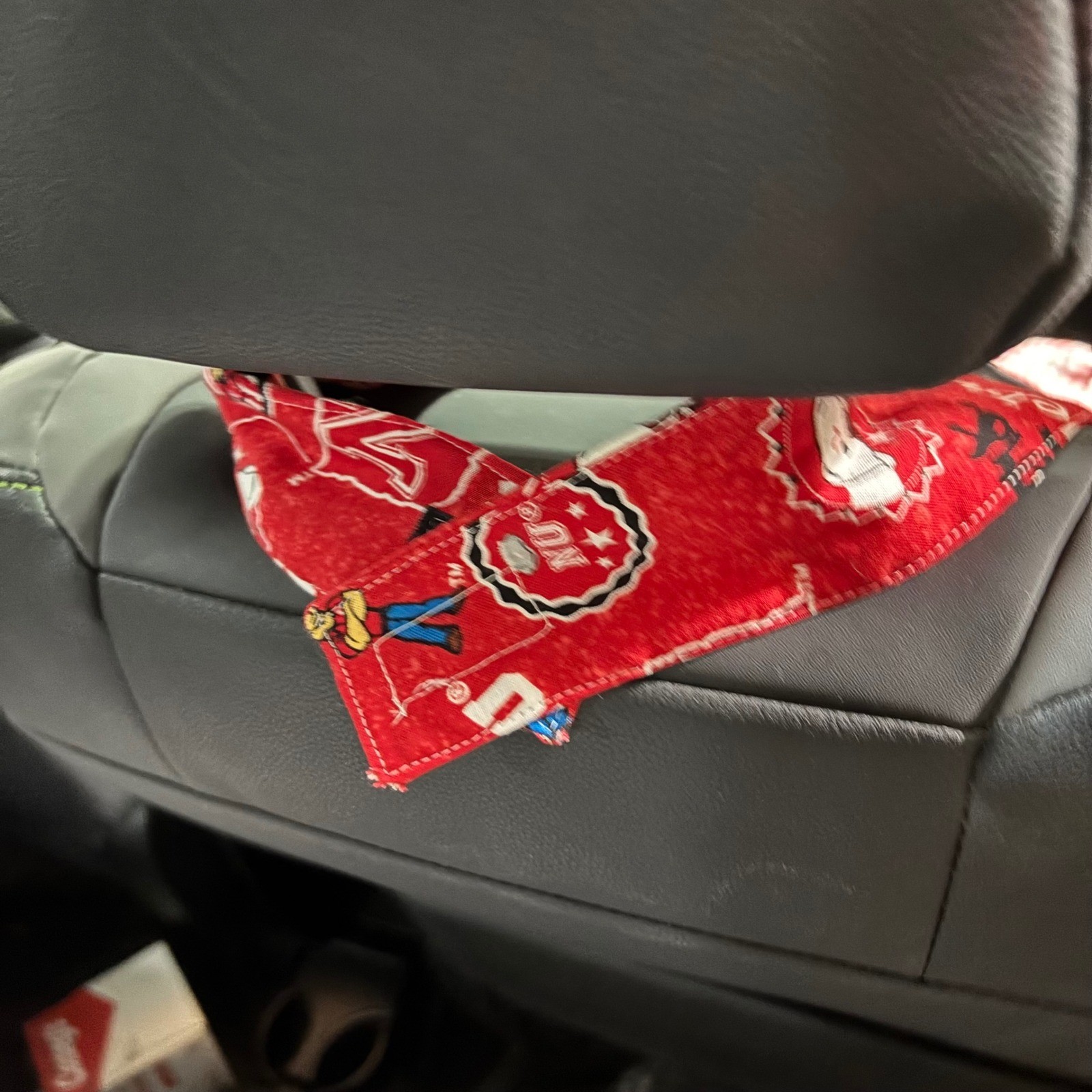 Car Trash/Utility Tote Bag NU Herby Crest Design 9" w x4" dx 12" l Handmade