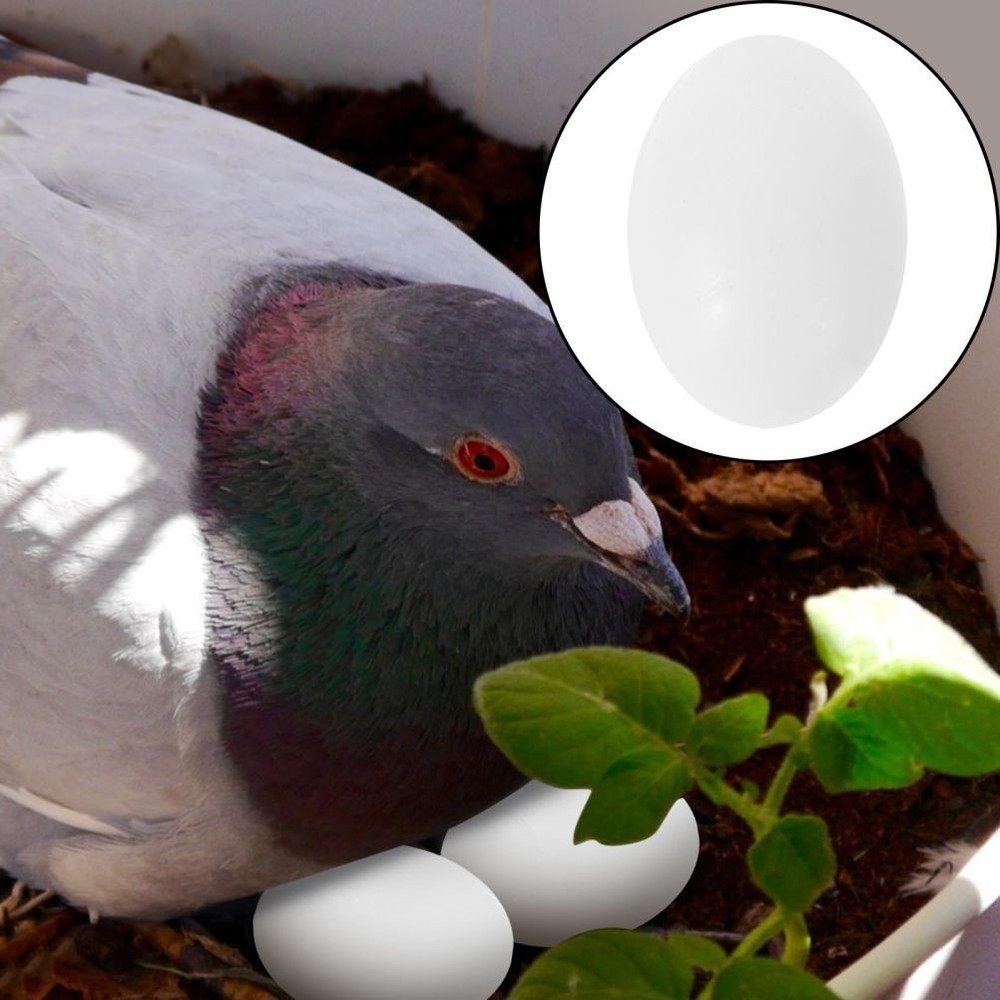 30Pcs Solid Plastic Eggs for Tricking Birds to Stop Laying Eggs