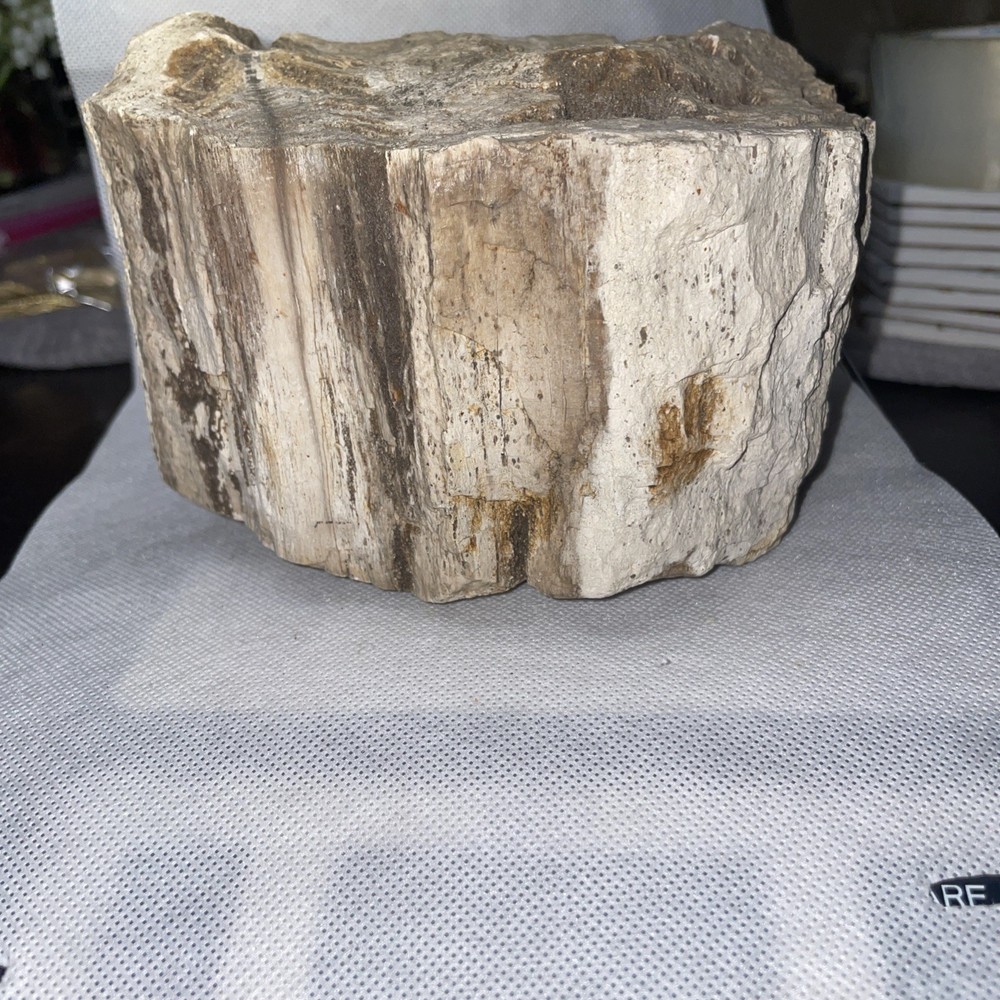 Petrified Wood. 4.705 Lbs