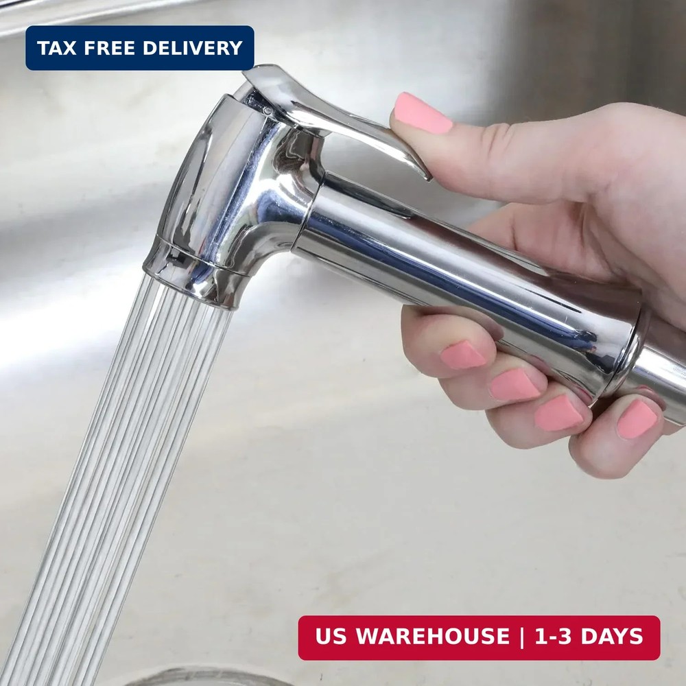 Danco 10330 Transitional Kitchen Sink Side Spray, Chrome