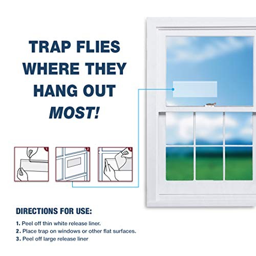 Bug & Fly Clear Window Fly Traps - Pack of 48 Traps
