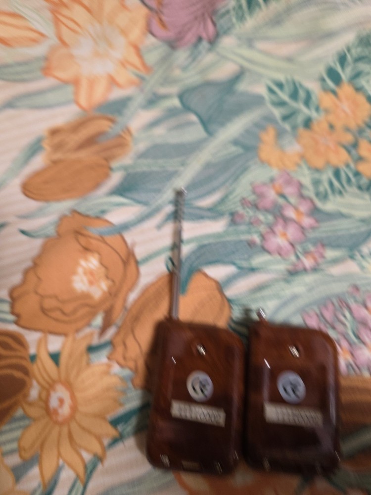 Two Wireless Remote For Vehicle