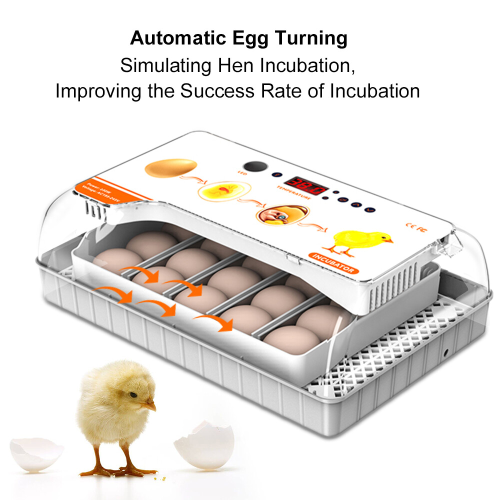 20 Egg Automatic Egg Incubator - Digital Turning Hatching Machine