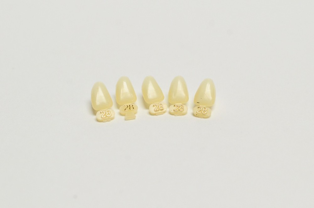 DENTAL POLYCARBONATE TEMPORARY CROWNS #28 (ULL) UPPER LEFT LATERAL 5/PACK
