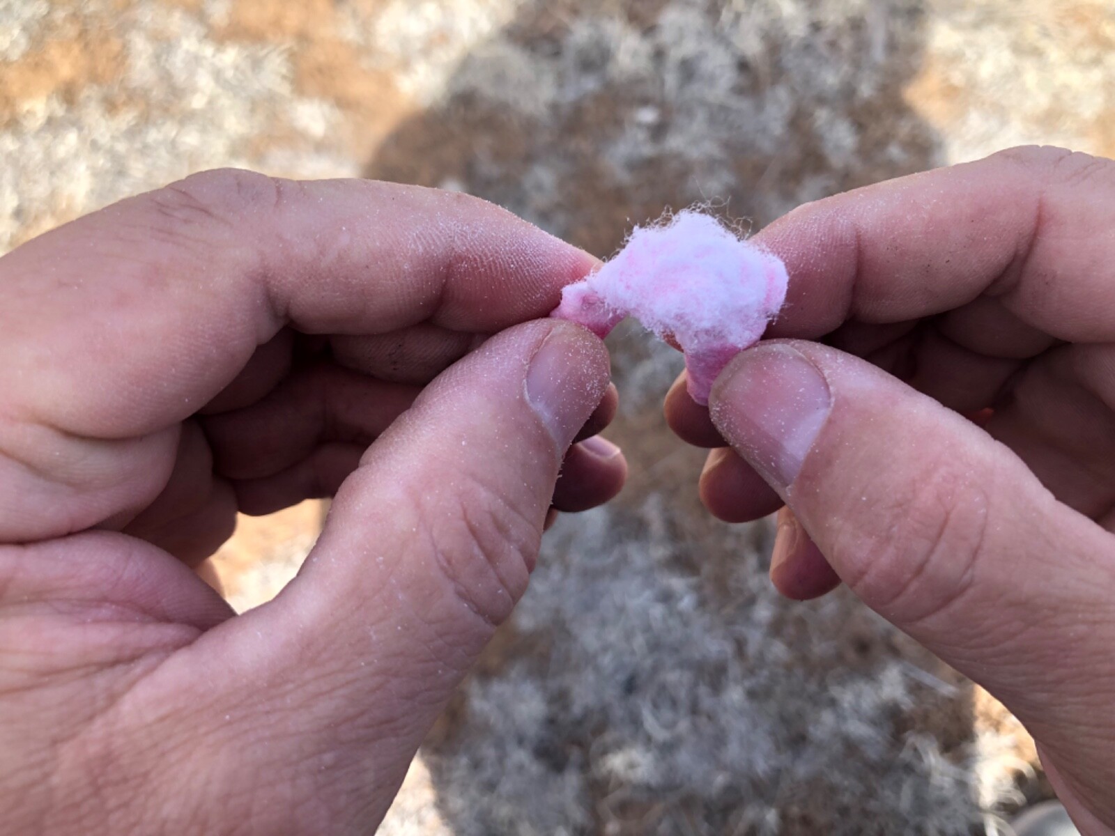 Southwest Survival Fire Starting Plugs (50) - Bushcraft, Camping, Bugout Bag