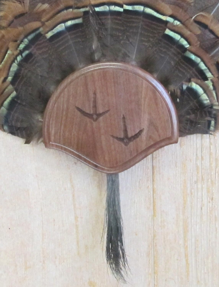 the Black Walnut Carved Turkey Mounting Kit Solid Walnut, Thick solid wood