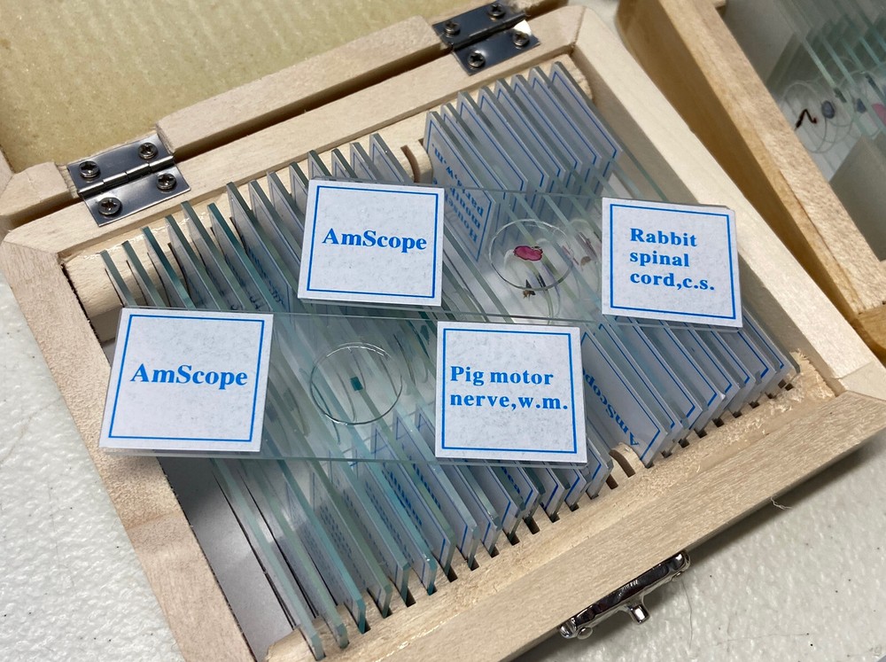 Amscope 49 PreparedMicroscope Slides In 2 Boxes