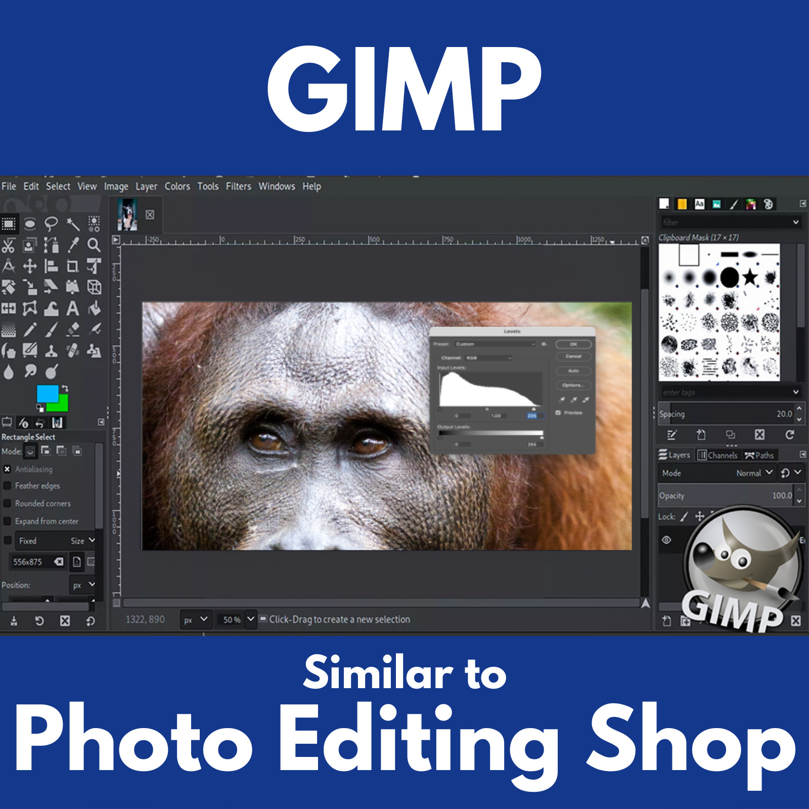 Desktop Publishing Pro 2023 | Publishing Print Design Software Program DVD