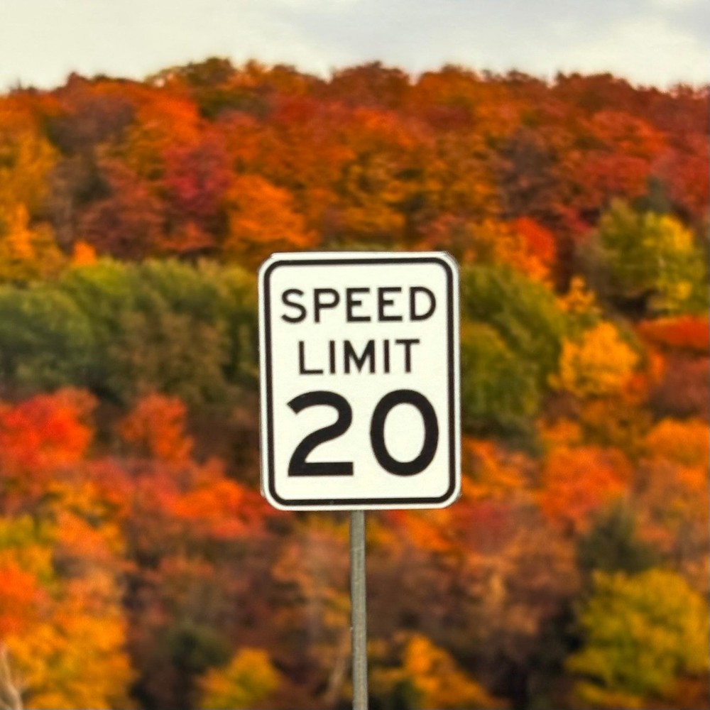 N Scale - Speed Limit - Choose MPH - 2 Pack