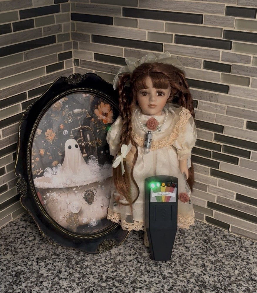 Haunted Paranormal Doll ( positive)
