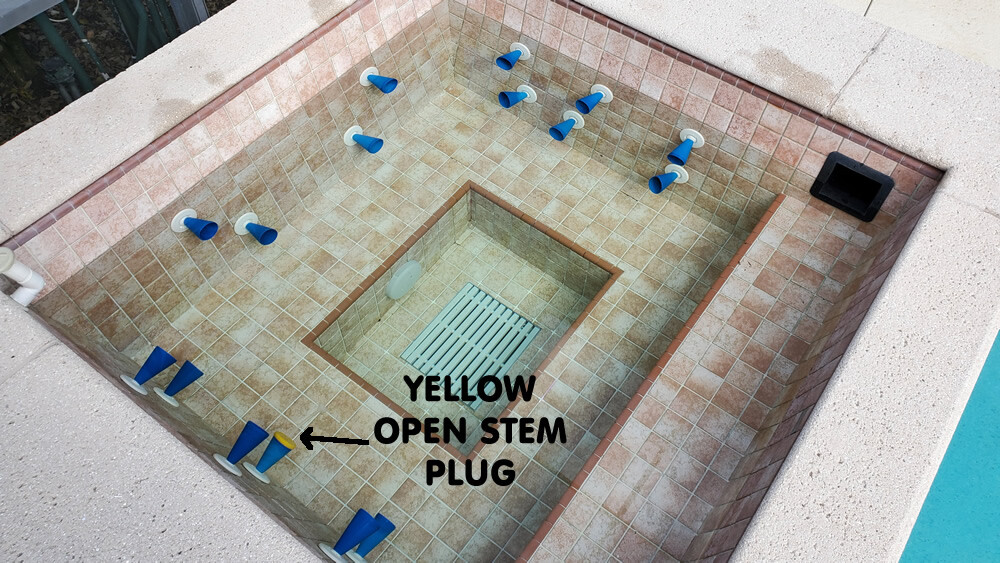 EXPERT POOL LEAK DYE TEST KIT