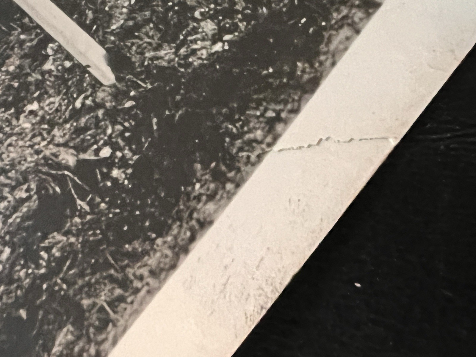 World War I Original Official US Photo Graves Of 324th Infantry Regiment 1918